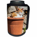 3dRose Orange and white cat in terra cotta planter. - Can Cooler Bottle Wrap (cc_343894)