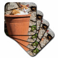 3dRose Danita Delimont - Cats - Orange and White cat in Terra Cotta Planter. - Coasters (CST_343894)