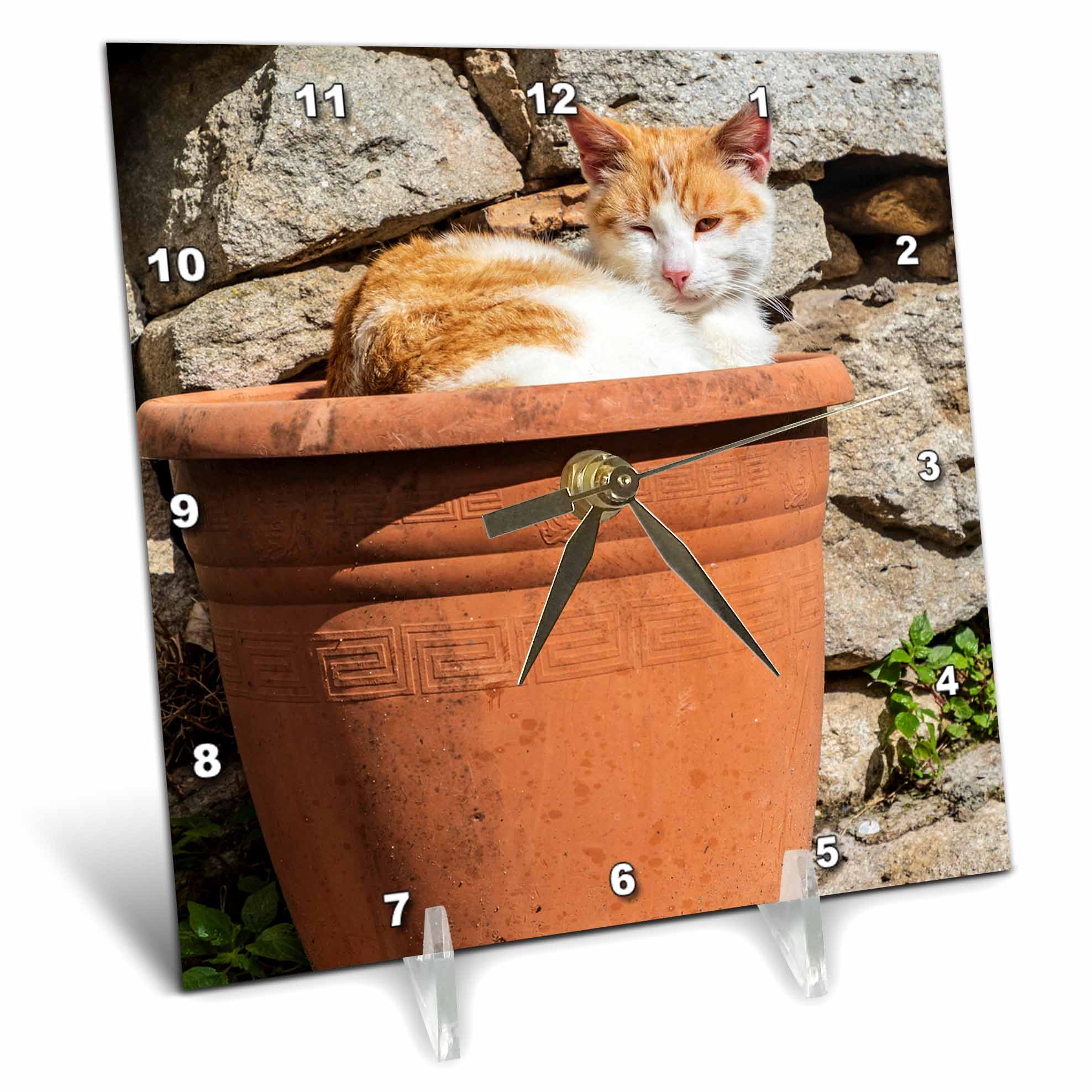 3dRose Orange and White cat in Terra Cotta Planter. - Desk Clocks (dc_343894)