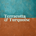 Terracotta &amp; Turquoise  - Home